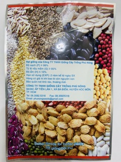 Hạt giống cải bó xôi