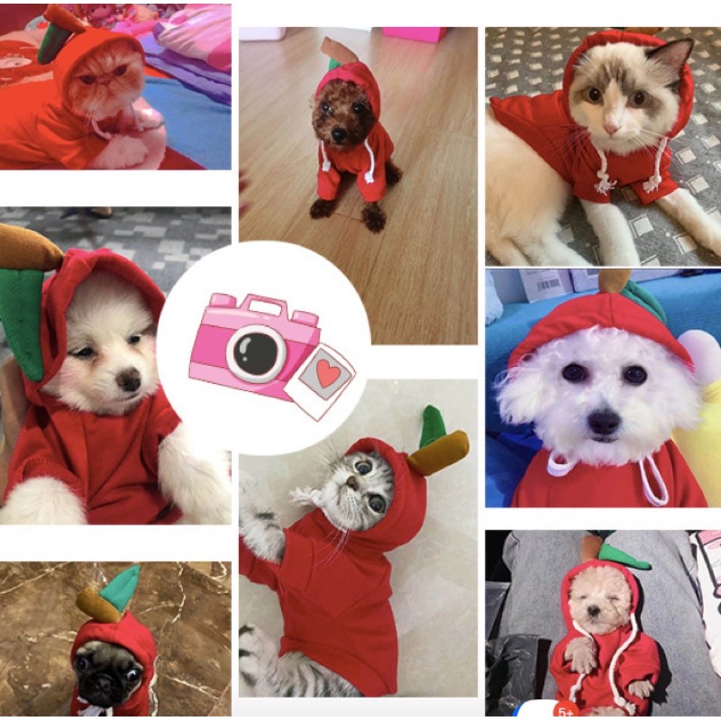 Quần áo cho chó mèo, áo nỉ có mũ , áo ấm, siêu cute cho thú cưng