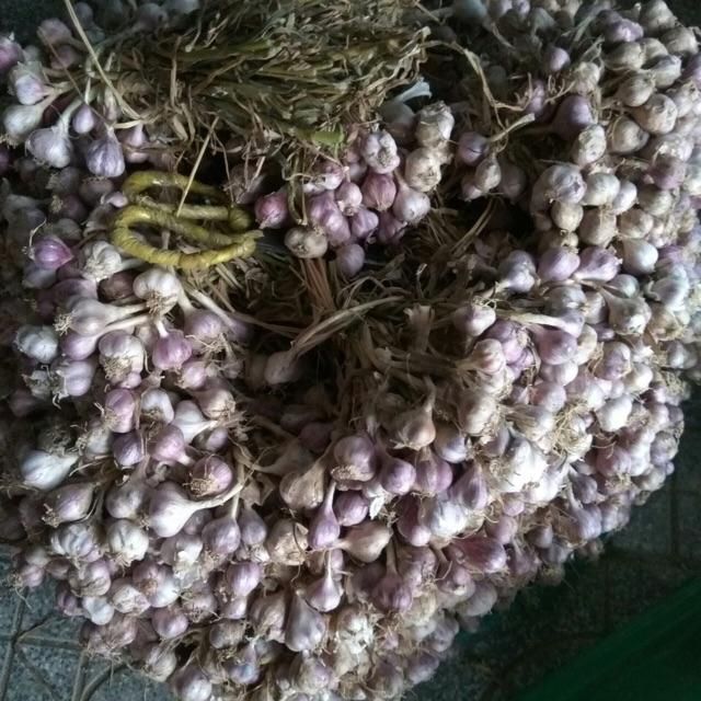Sỉ như lẻ 500g tỏi ta