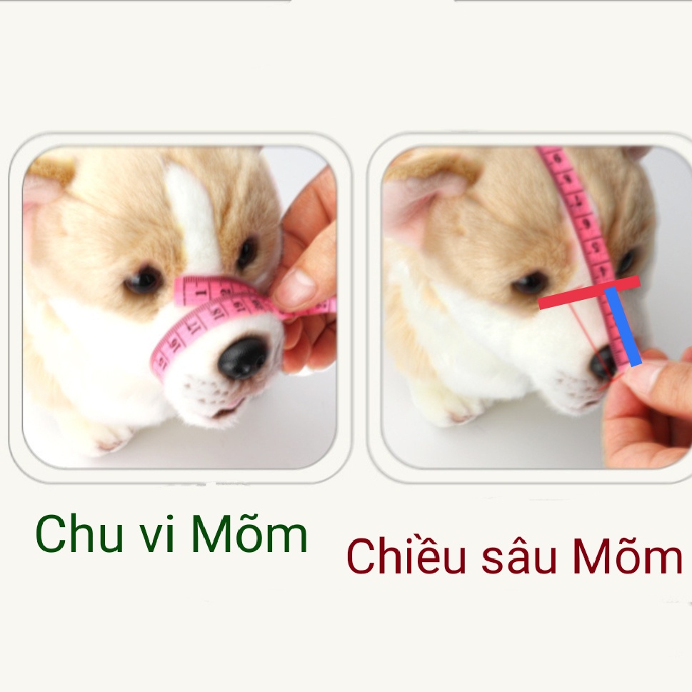 RỌ MÕM NHỰA Cho Chó (6 Size)- Mẫu Mới Nâng Cấp ( thêm Dây buộc đầu )