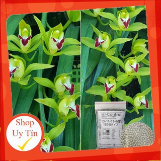 - Phân Tan Chậm Nhật 13-11-11-ME 1 KG chất lượng.