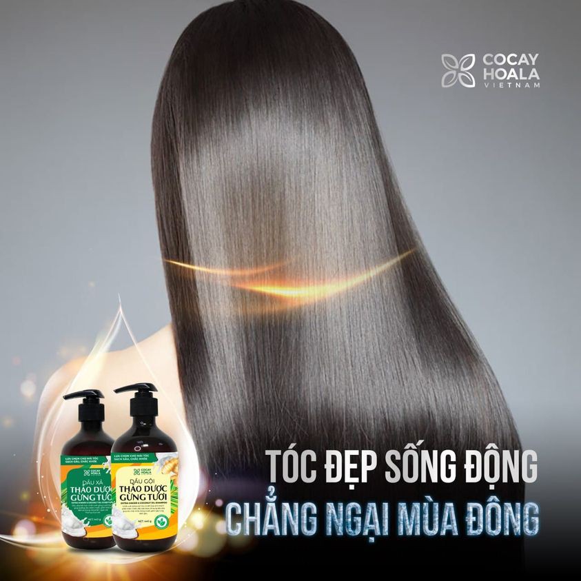 COMBO DẦU GỘI XẢ THẢO DƯỢC GỪNG DỪA HỮU CƠ CỎ CÂY HOA LÁ LÀM SẠCH DA ĐẦU, HỖ TRỢ GIẢM NGỨA HIỆU QUẢ, DƯỠNG TÓC MỀM MƯỢT