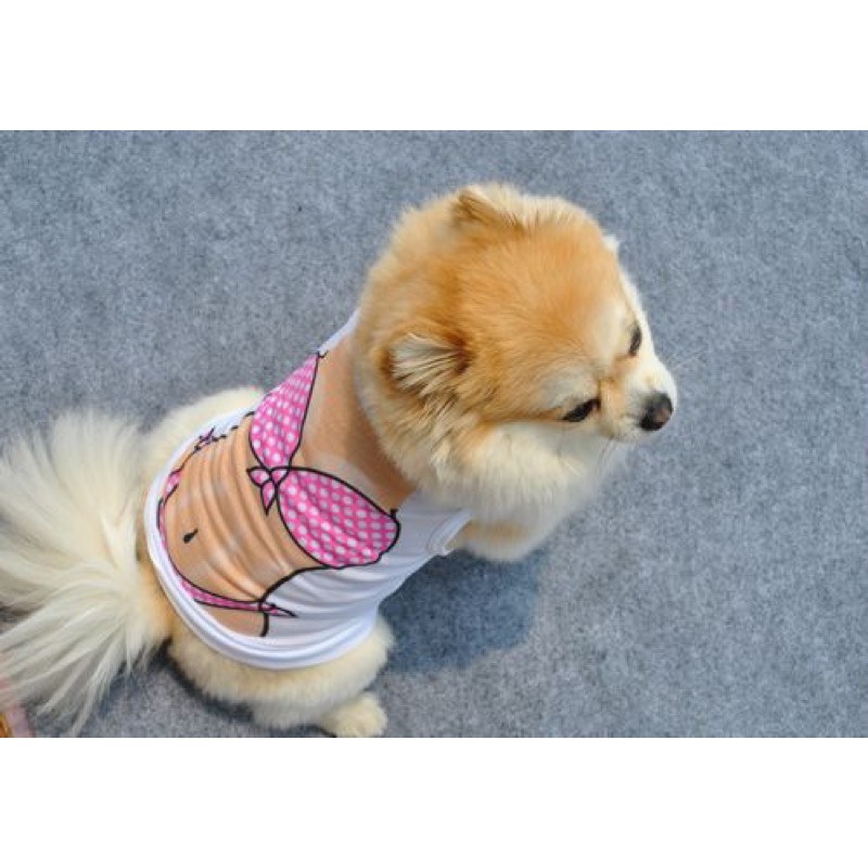 Bộ áo lưới sexy cho cún miu