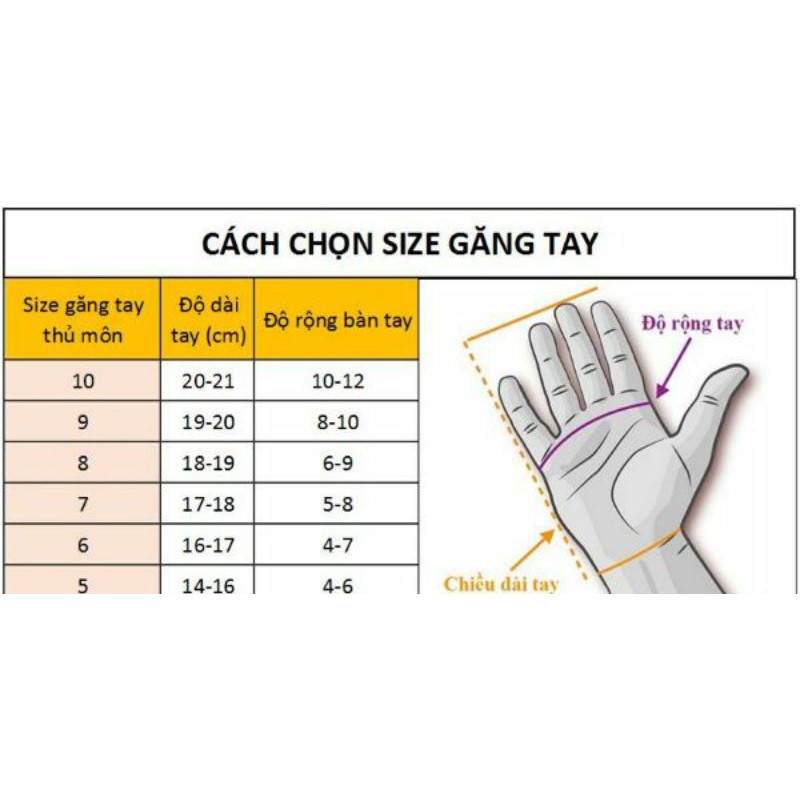 Găng Tay Thủ Môn Cao Cấp  evoPower Grip- Có xương ngón