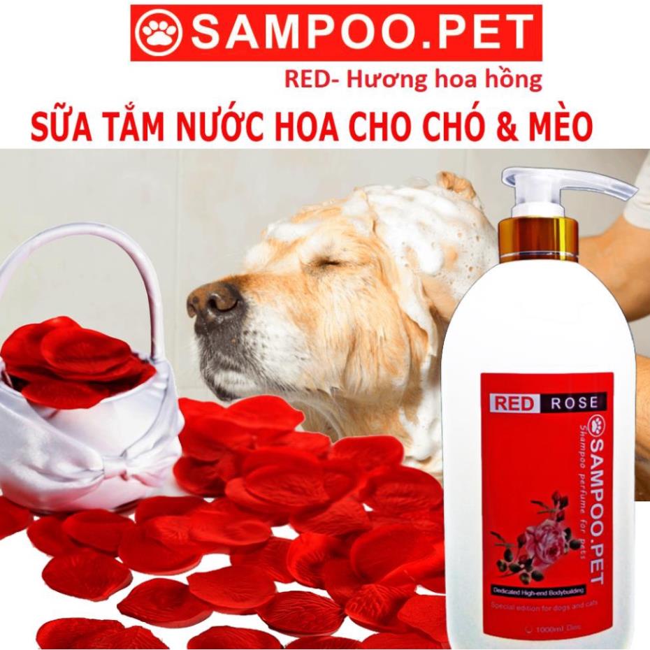 Sữa Tắm Chó mèo Sampoo.pet 500ml thơm quý phái -Sữa tắm nước hoa cho thú cưng Thơm lâu tận 22h doremiu