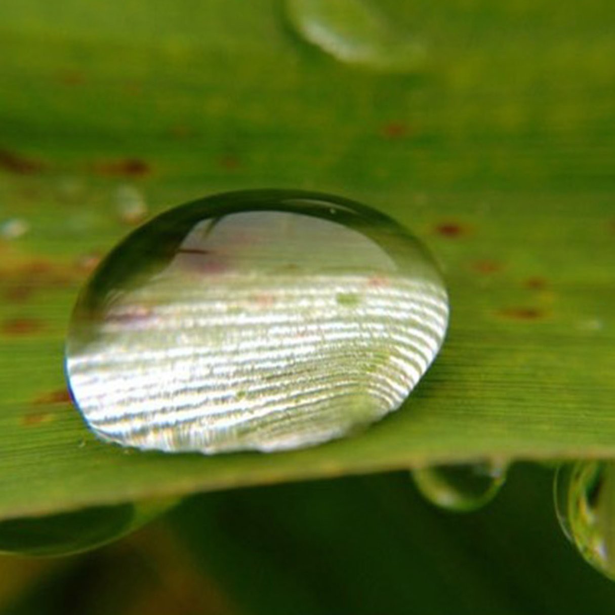 Bộ Ống Kính Đa Năng 4 Trong 1 Cho Điện Thoại