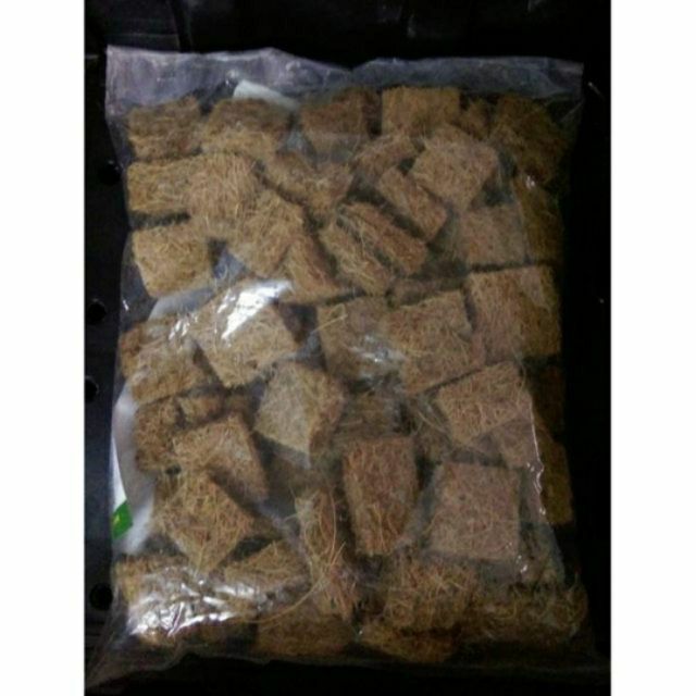 Sơ dừa miếng chuyên trồng lan 100g