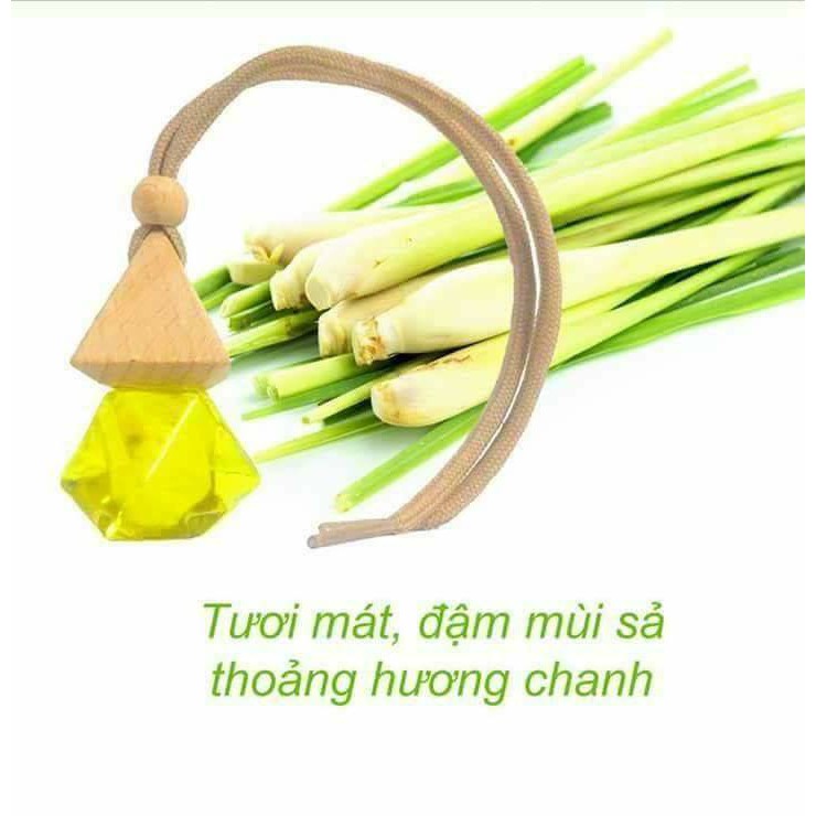 TINH DẦU TREO PHÒNG, TREO XE_Hương tự chọn