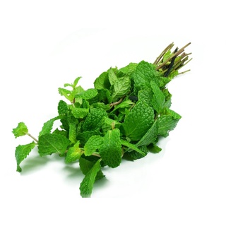 Húng lủi Rado 931 (0.2g)