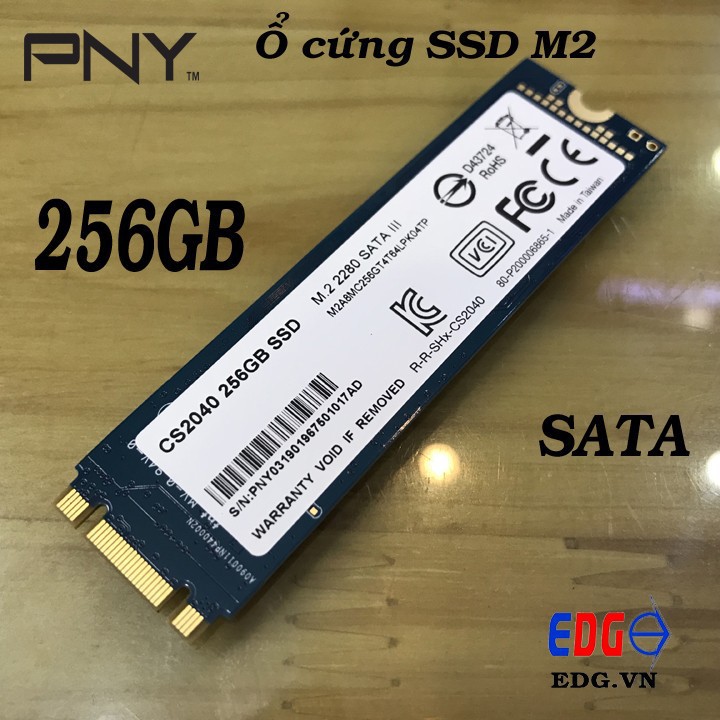SSS M2 256GB SATA chính hãng PNY - SSD M2 256GB PNY CS2040