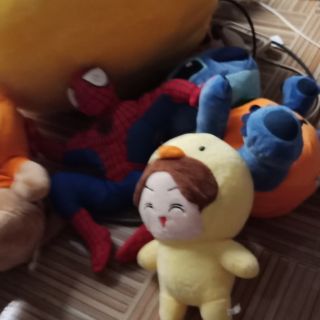 Gấu của chị xoan