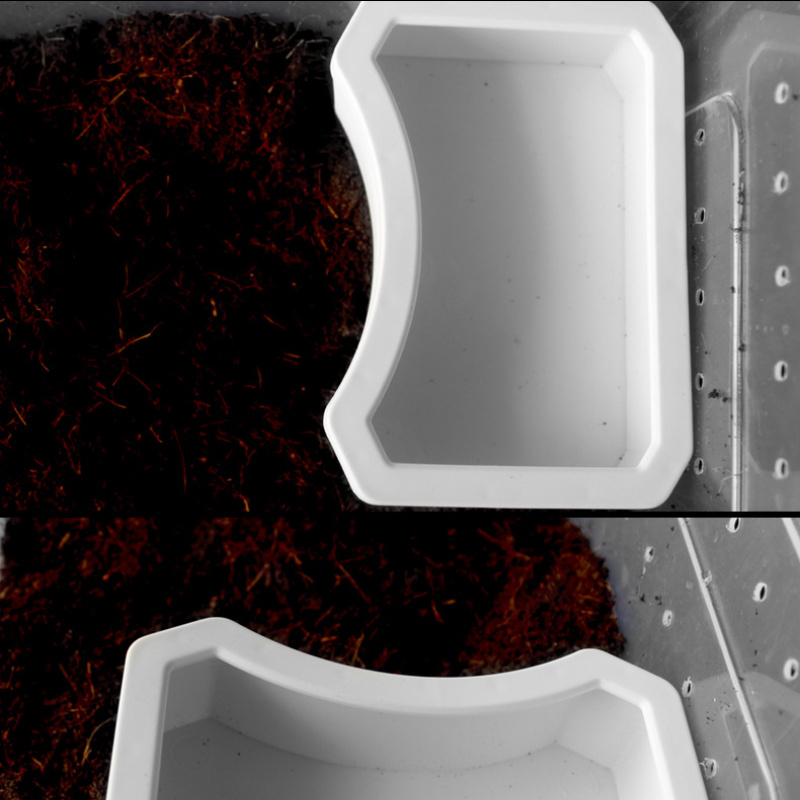 Bát ăn cho bò sát thú cưng - Bát đựng nước uống cho bò sát thú cưng