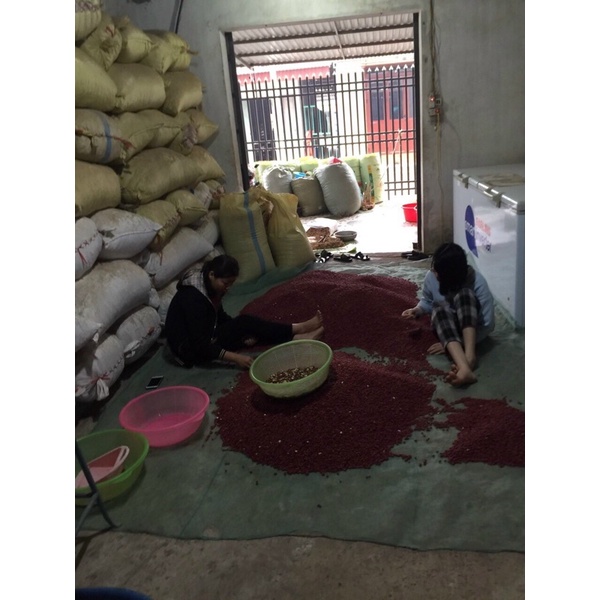 100 gram lạc đỏ quê bóc tay