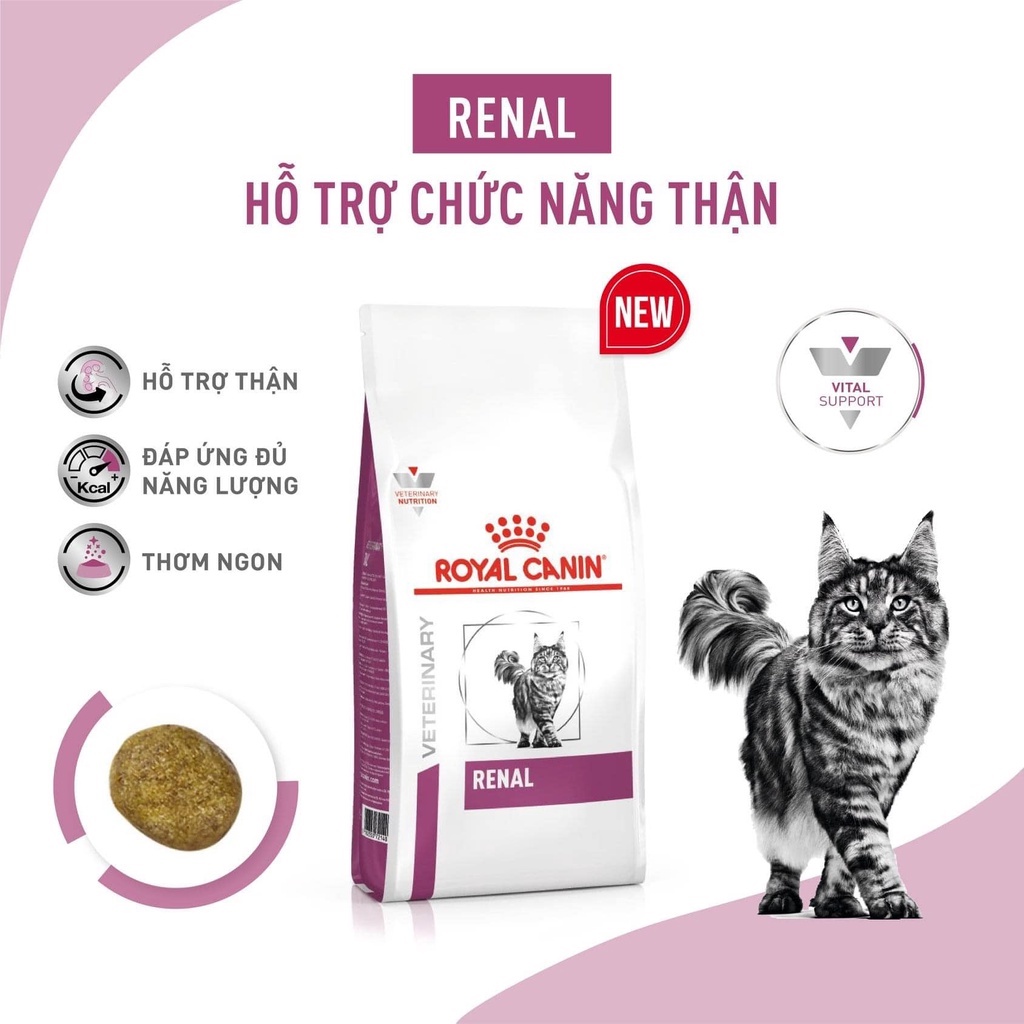 Canin cho mèo bị thận mãn tính, Thức ăn hỗ trợ chức năng thận cho mèo Royal Canin Renal 2kg