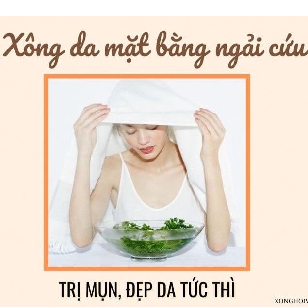 500gr Ngải Cứu Cây+Lá Khô