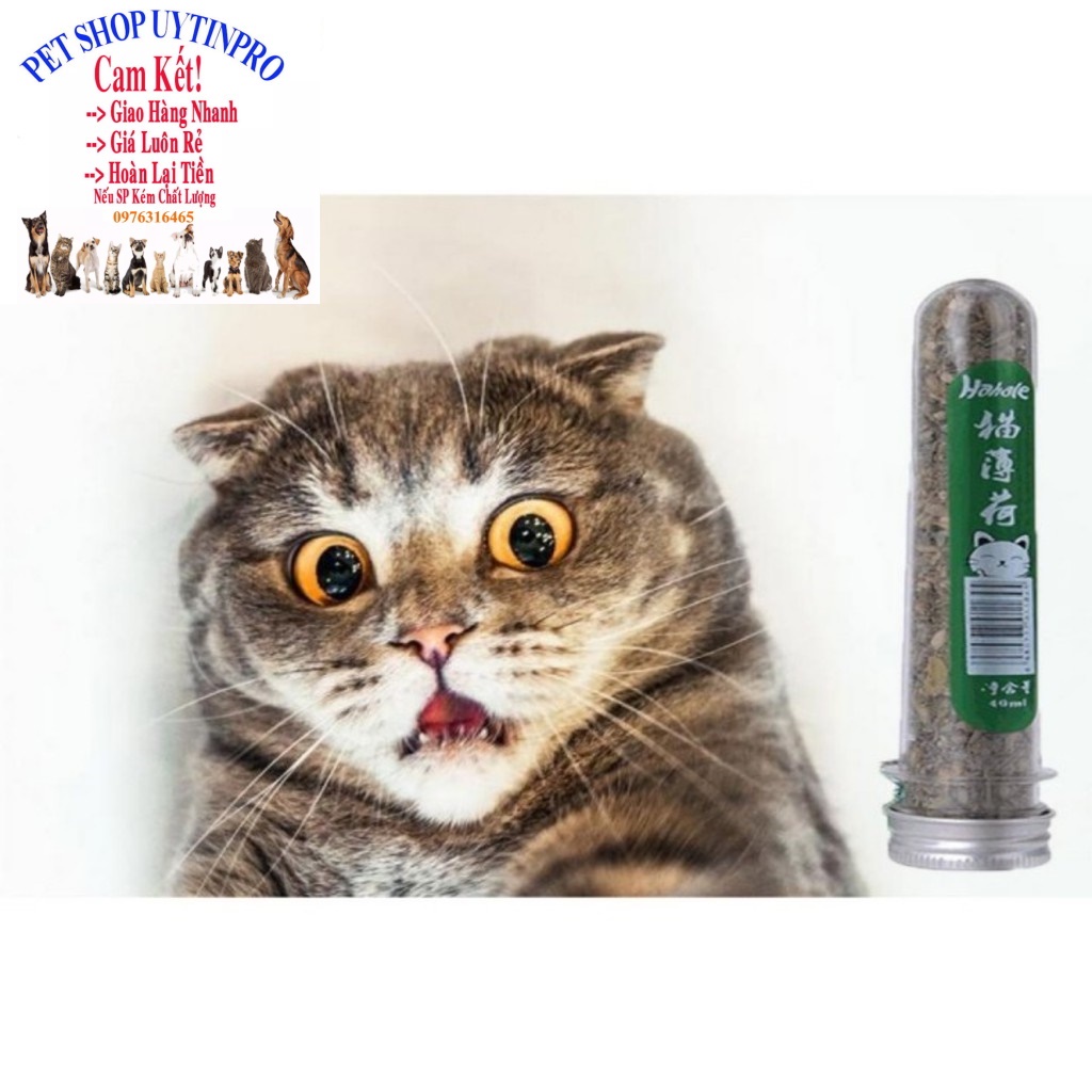 Ống cỏ Cat Mint cho Mèo Ống 10g Giúp thú cưng thư giãn, Xả stress, Bổ sung vitamin,Cân bằng dinh dưỡng, Tốt cho tiêu hóa
