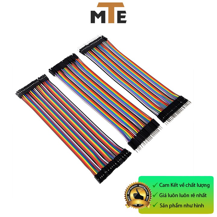 Dây cắm board test 20 cm (40 sợi)
