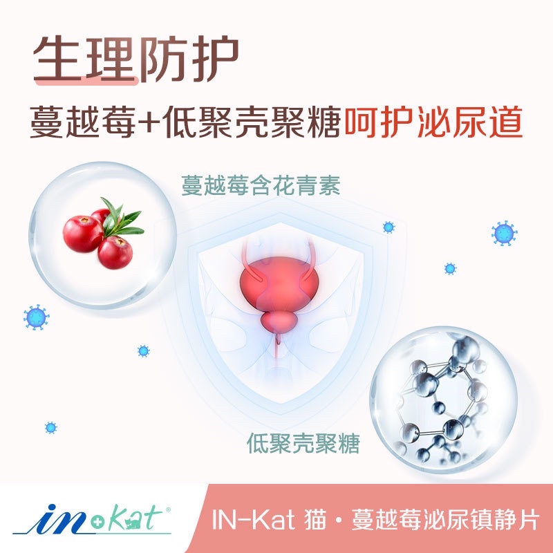Bổ thận InKat hỗ trợ tiết niệu phòng tránh bệnh thận cho mèo chiết xuất việt quất Surica IN05 (120v)