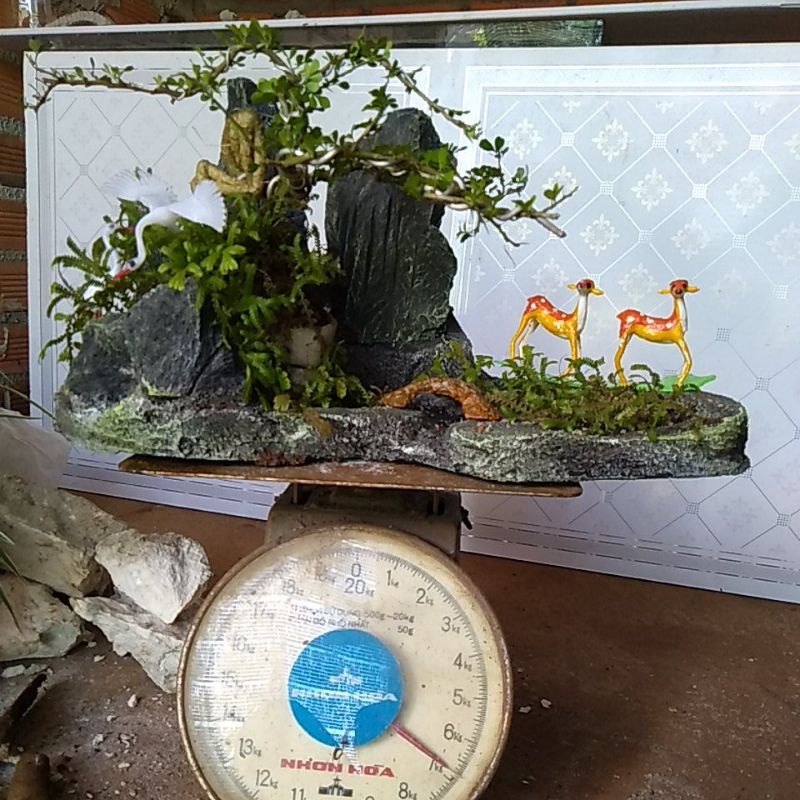 Tiểu cảnh trồng bonsai đẹp rẻ nhất shoppe-có thác nước
