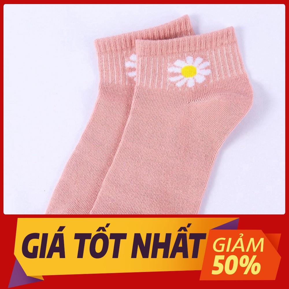 [Sale toàn shop]combo 10đôi TẤT VỚ NAM NỮ MANG GIÀY CỔ TRỤ HOA CÚC 300 SIÊU DỄ THƯƠNG