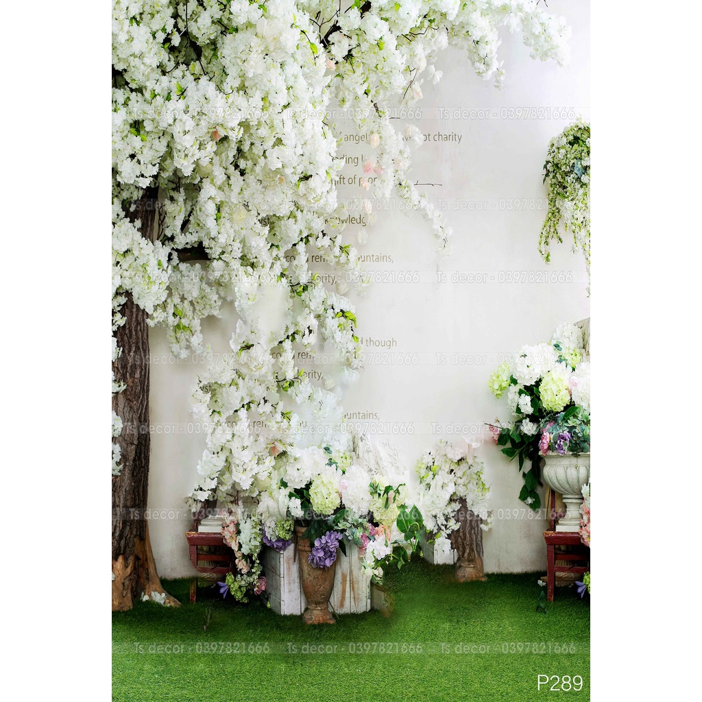 Phông chụp ảnh Studio 3D 5D cao cấp không phản sáng