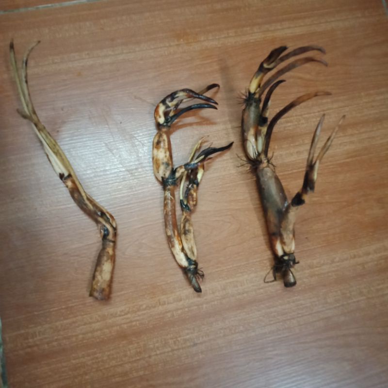 Sen hồng duyên, tình yêu bất tận