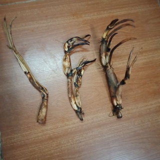 Sen hồng duyên, tình yêu bất tận