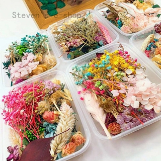 Khung Ảnh Hoa Khô Tự Nhiên Làm Thủ Công DIY