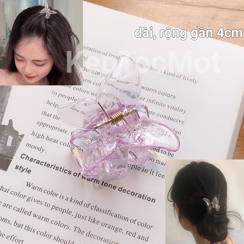 Kẹp tóc butterfly xinh màu thạch nhựa k