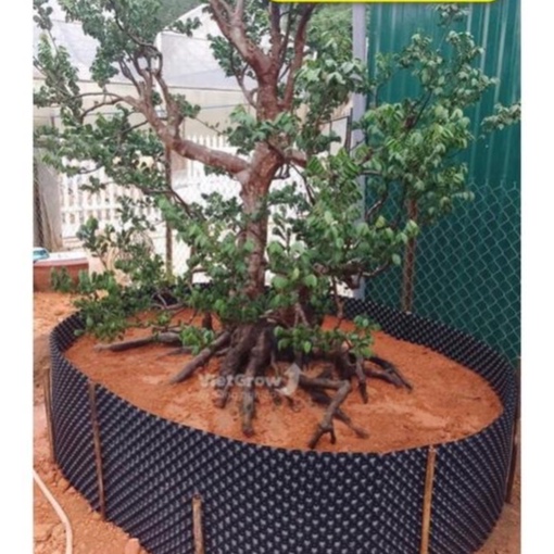 Bầu ươm cây V6 tiện dụng có sẵn ốc vít 0.6x1m (Cao 60cm, bán theo mét tới), mỗi mét kèm 2 vít bắt