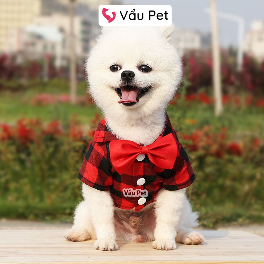 Áo cho chó mèo Sơ mi cổ nơ - Quần áo cho chó poodle, con, lớn, mèo, thú cưng Vẩu Pet Shop