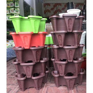 COMBO 5 CHẬU TRỒNG RAU 5 CÁNH
