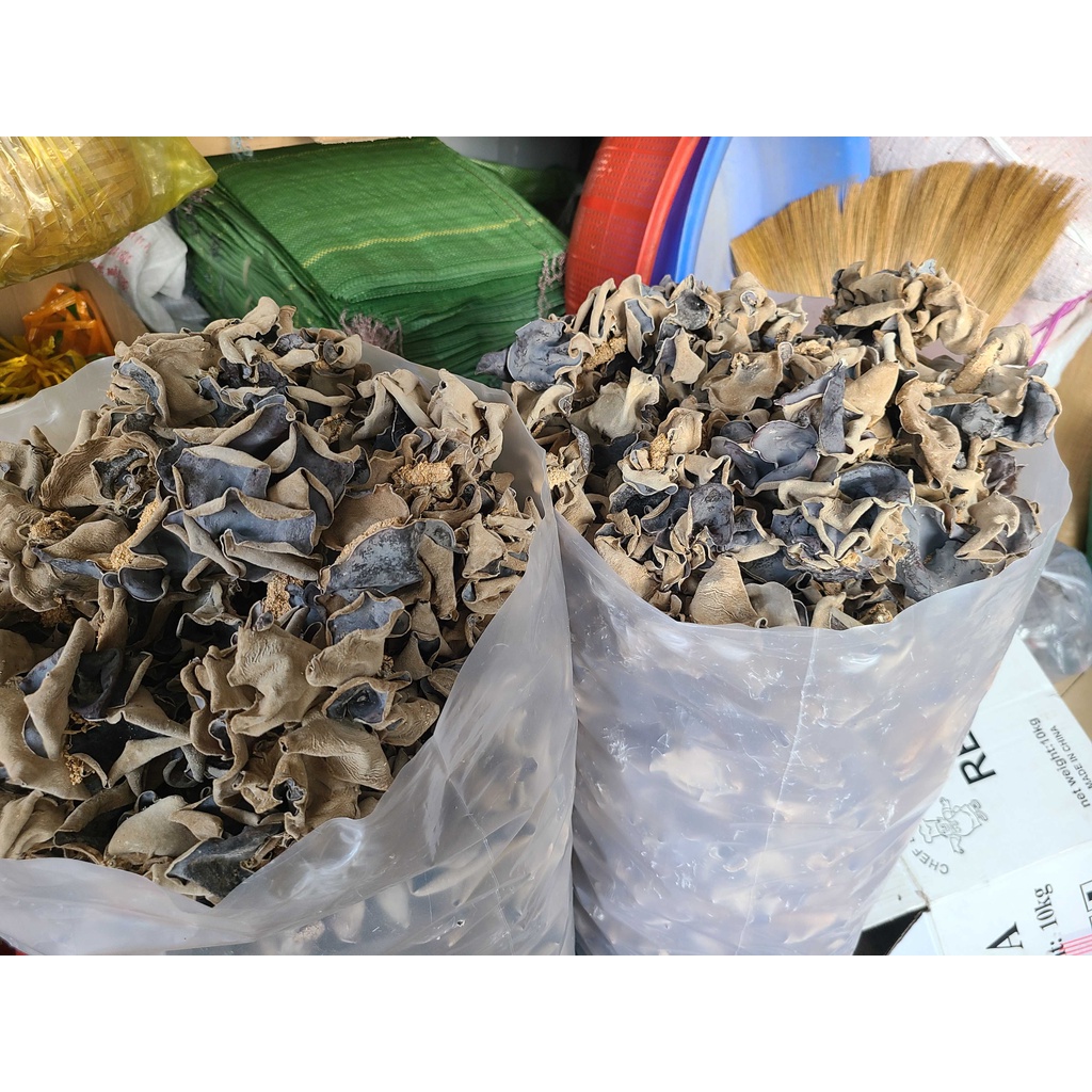 Nấm mèo - Mộc nhĩ Đà Lạt to dày