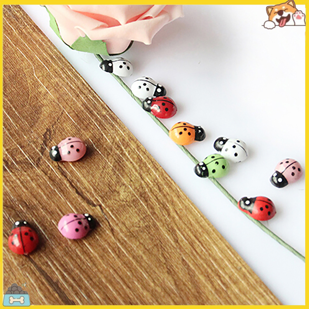 Bộ 100 bọ cánh cứng mini xinh xắn dùng để trang trí