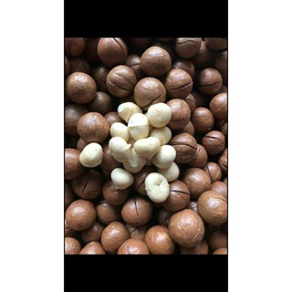 500G Macca sấy nứt vỏ Đăk Lăk- có dụng cụ tách vỏ - size loại 1