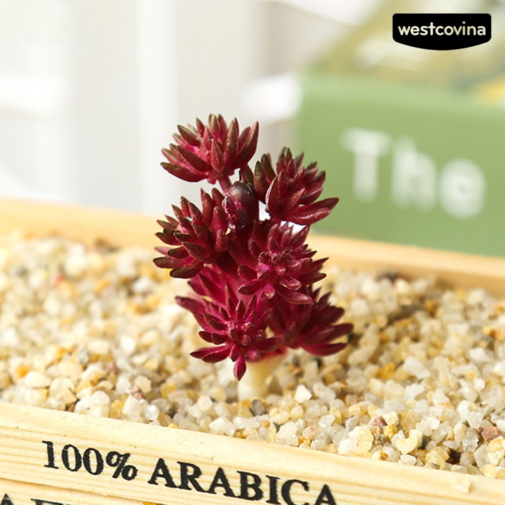 [Hot]⚘1 Cây Sen Đá Giả Trang Trí Văn Phòng