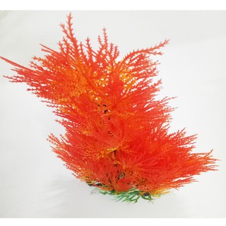   Cây Trang Trí Bể Cá Size Đại (Khoảng 25cm x 17cm Mỗi Cây) - Đồ Trang Trí Hồ Cá [CÂY ĐẠI]