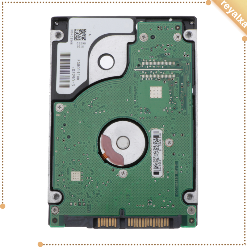 Ổ Cứng Trong 2.5 Trong Sata 8m Cho Laptop Notebook 500gb | BigBuy360 - bigbuy360.vn