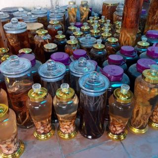 Nấm Ngọc Cẩu 2kg