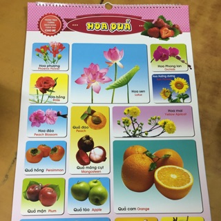 Tranh treo tường bách khoa toàn thư cho bé