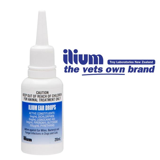 Ilium Khuyên Tai Thả Hình Tai Chó / Mèo Con / Động Vật illium