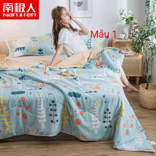 Combo chăn hè phượng vy