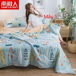 Combo chăn hè phượng vy