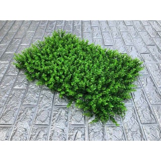 [ Loại 1 ] tấm cỏ tai chuột trang trí nhà xinh