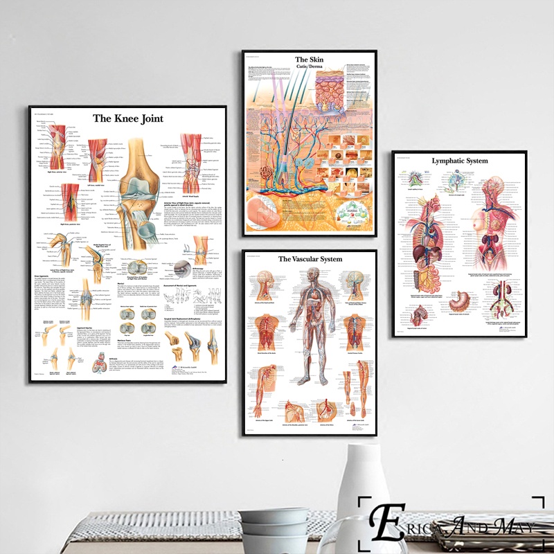 Tranh Vải Bạt Treo Tường In Hình Cấu Trúc Xương Người Trang Trí Nội Thất