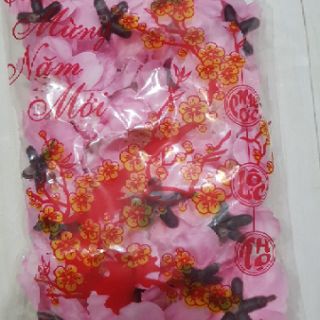 Hoa đào rời chụp ảnh