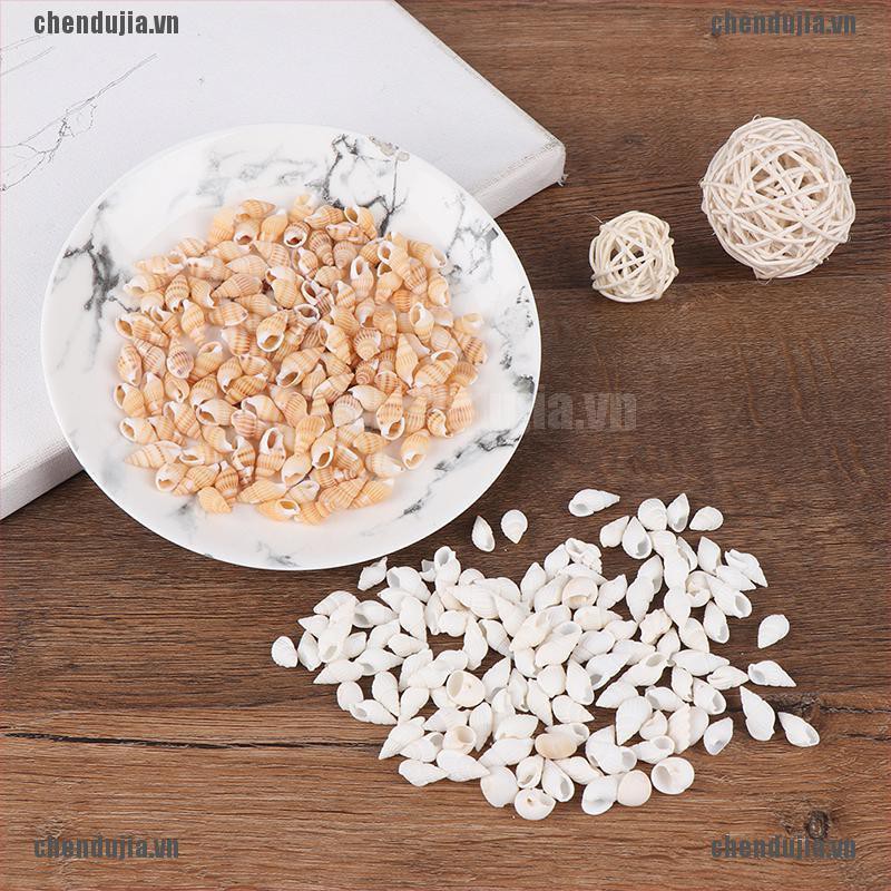 Set 100 Vỏ Sò Xoắn Ốc Tự Nhiên Mini Dùng Trang Trí Thủ Công DIY