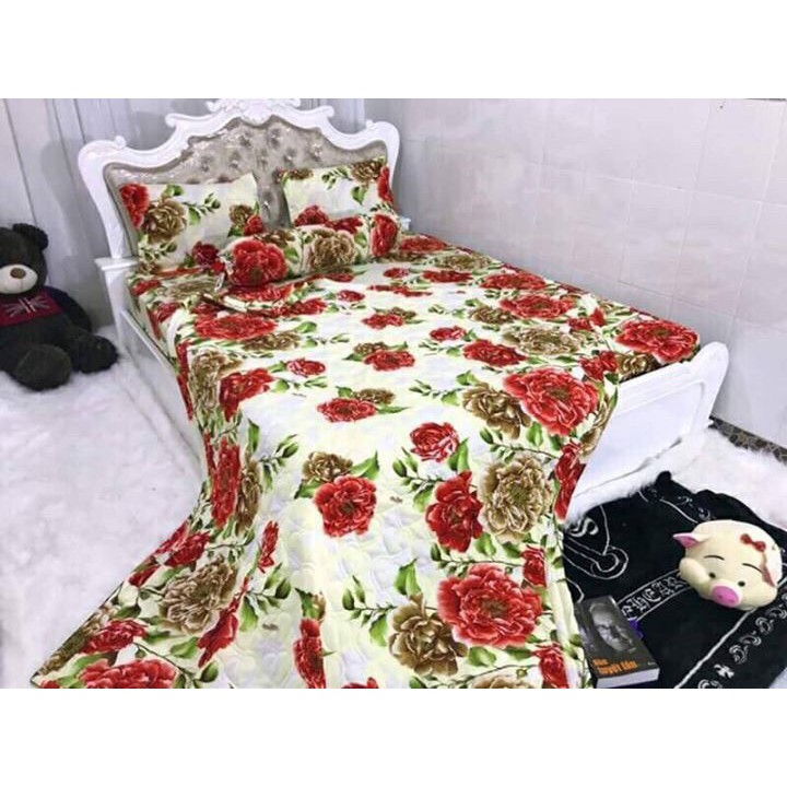 Bộ Drap gối, mền thun 3D Hàn Quốc