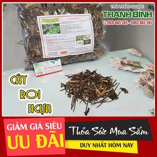 Cây Roi Ngựa 500g - Thu Hái Và Sấy Khô Tự Nhiên
