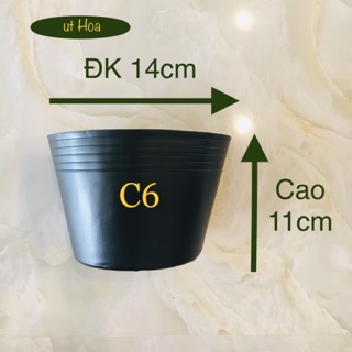 100 chậu nhựa đen C6 trồng cây kiểng, ươm cây con, trồng hoa (dày)